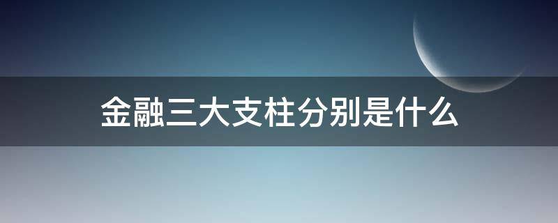 金融三大支柱分别是什么（金融的三大支柱是什么以及各自的特点）