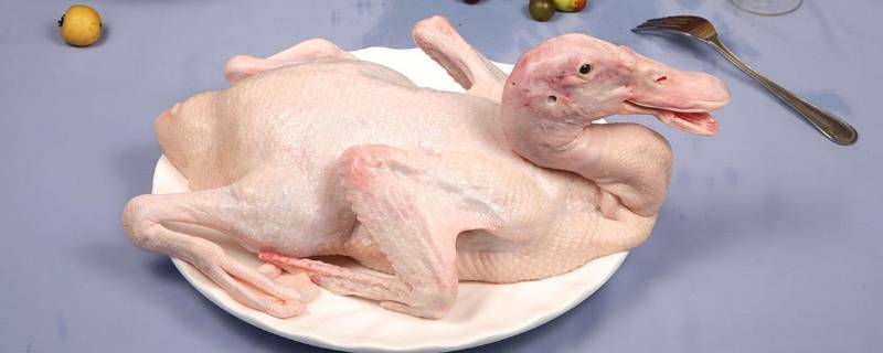 白条鸭是什么鸭（白条鸭是什么鸭多少钱一个）