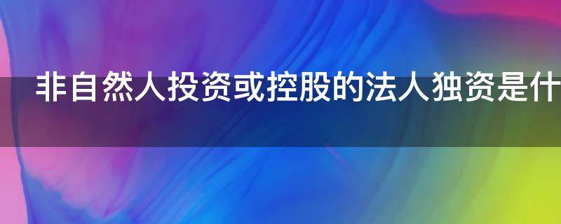 非自然人投资或控股的法人独资是什么意思
