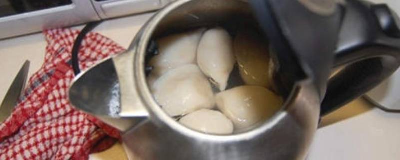 烧水壶可以煮饺子吗（烧水壶可以煮饺子吗 热水壶煮饺子要多久）