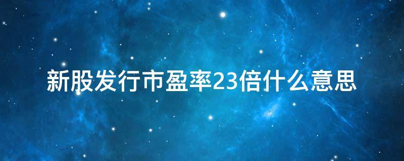 新股发行市盈率23倍什么意思（新股发行市盈率22.99）