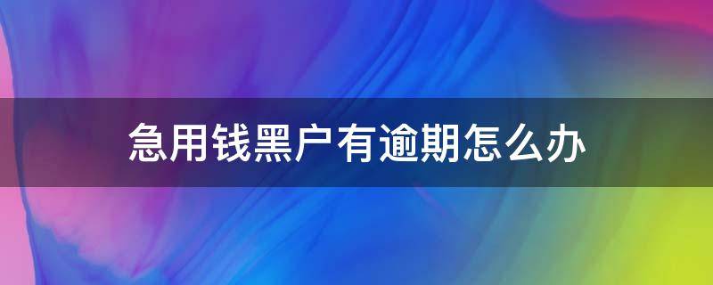 急用钱黑户有逾期怎么办（急用钱黑户有逾期怎么办理）