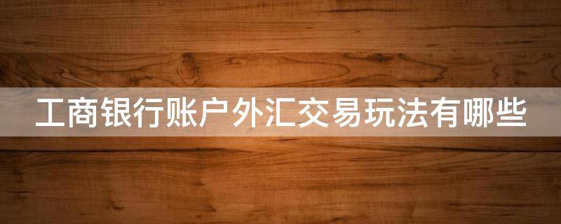 工商银行账户外汇交易玩法有哪些（工商银行帐户外汇交易玩法）