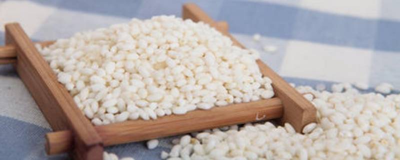 糯米不泡直接用电饭煲煮可以吗 糯米泡2小时可以蒸熟吗