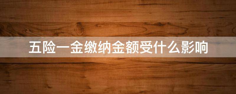 五险一金缴纳金额受什么影响 五险一金缴纳比例有什么影响