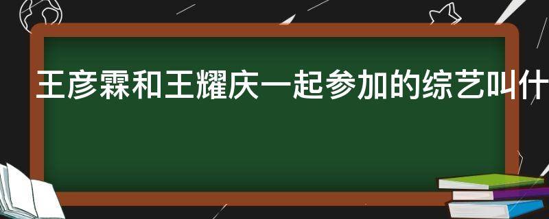 王彦霖和王耀庆一起参加的综艺叫什么