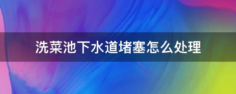 洗菜池下水道堵塞怎么处理（洗菜池水道堵了怎么办）
