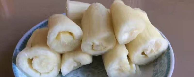 面包木薯可以直接煮熟吃吗 面包木薯可以直接煮熟吃吗