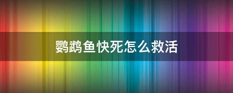 鹦鹉鱼快死怎么救活 鹦鹉鱼要死的前兆