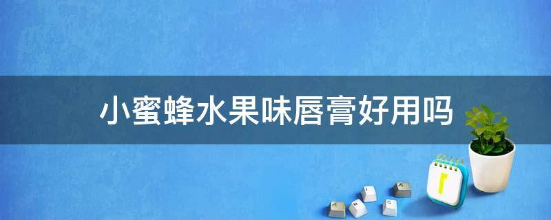 小蜜蜂水果味唇膏好用吗（小蜜蜂水果味唇膏好用吗知乎）