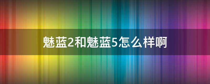 魅蓝2和魅蓝5怎么样啊（魅蓝e2和魅蓝5s哪个好）