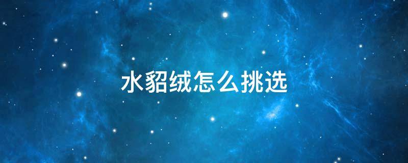 水貂绒怎么挑选（水貂绒什么样才是好的）