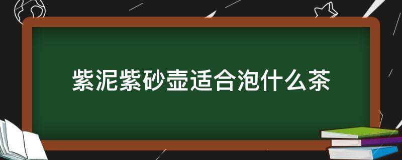 紫泥紫砂壶适合泡什么茶 紫砂壶适合泡什么茶最好