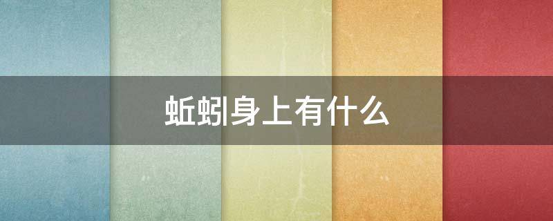 蚯蚓身上有什么（蚯蚓身上有什么寄生虫）