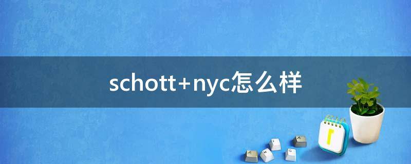 schott nyc怎么样