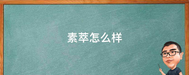 素萃怎么样（素萃是正规的牌子吗）