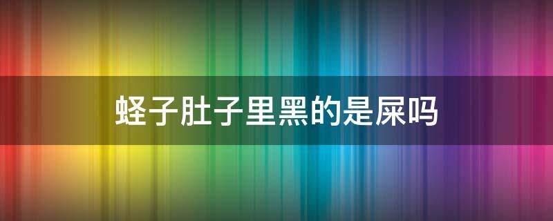 蛏子肚子里黑的是屎吗（蛏子怎么清洗内脏图解）