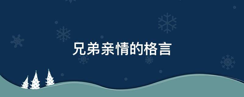 兄弟亲情的格言（兄弟亲情的格言短句）