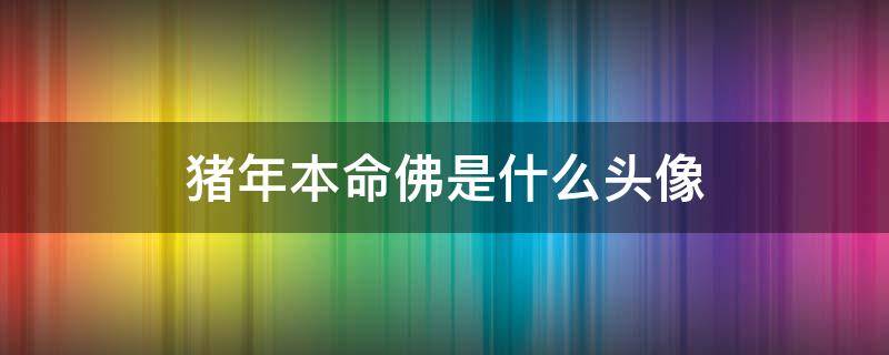 猪年本命佛是什么头像（猪年的本命佛是什么佛）