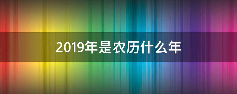 2019年是农历什么年 2019年是农历什么年号