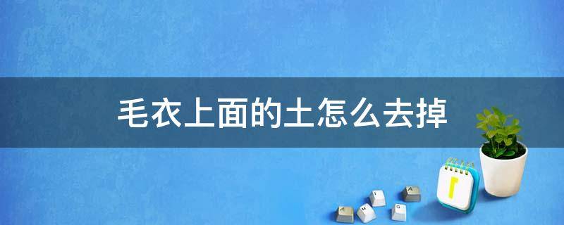 毛衣上面的土怎么去掉 毛衣上的毛怎么去除小窍门