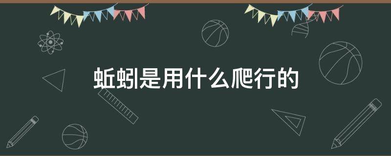 蚯蚓是用什么爬行的（蚯蚓靠什么爬）