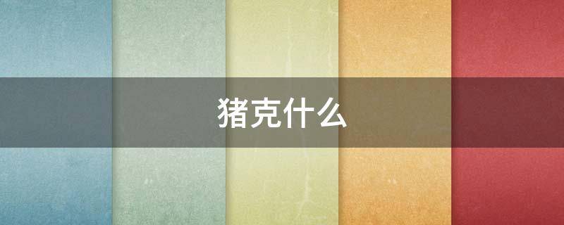 猪克什么（猪和什么属相相克）