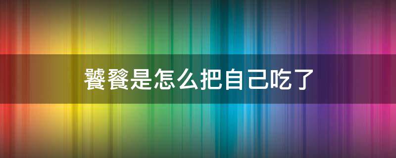 饕餮是怎么把自己吃了（四大神兽谁是老大）