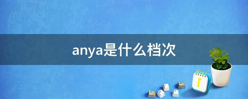 anya是什么档次（anfany什么档次）