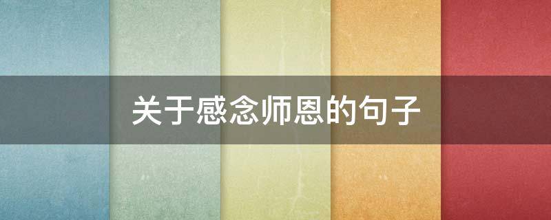 关于感念师恩的句子 关于感念师恩的句子简短