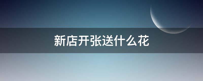新店开张送什么花 新店开张送什么花束