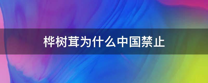 桦树茸为什么中国禁止（桦树茸的正确服用方法）