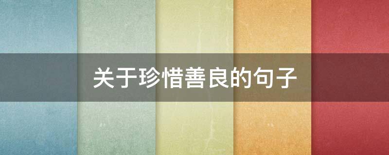 关于珍惜善良的句子（珍惜善良的人语录）