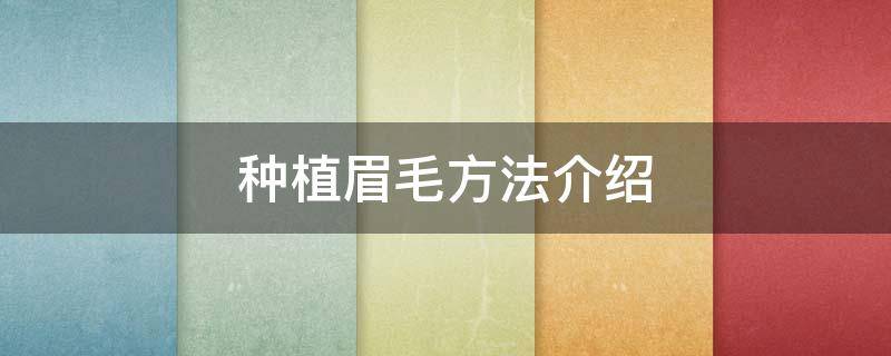 种植眉毛方法介绍 种植眉毛方法介绍视频