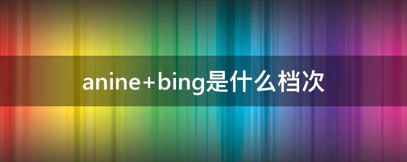 anine bing是什么档次