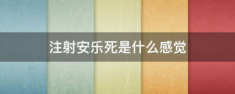 注射安乐死是什么感觉（注射安乐死后的表现）
