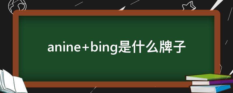 anine bing是什么牌子