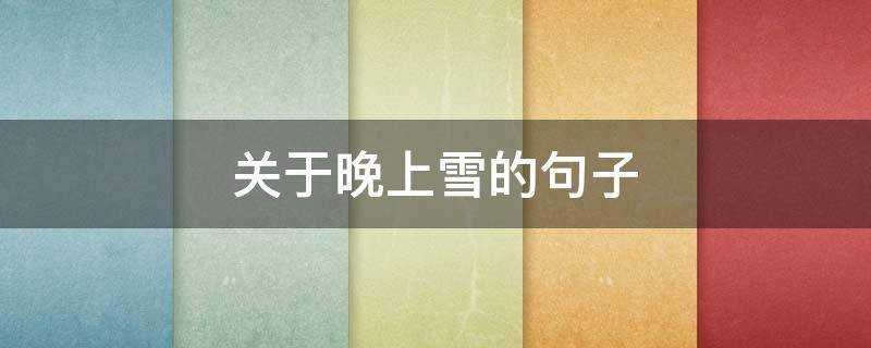 关于晚上雪的句子（描写晚上雪的诗句）