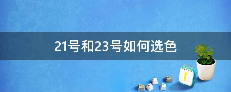 21号和23号如何选色（21号色和13号色区别）