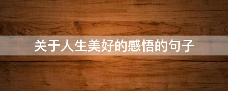 关于人生美好的感悟的句子（关于人生美好的感悟的句子有哪些）