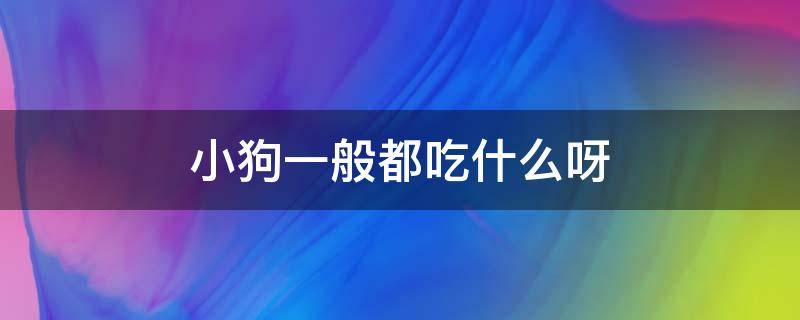 小狗一般都吃什么呀 小狗一般都吃啥