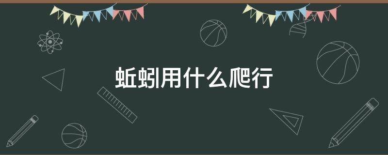 蚯蚓用什么爬行（蚯蚓用什么爬行最好）