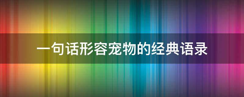一句话形容宠物的经典语录 如何形容宠物