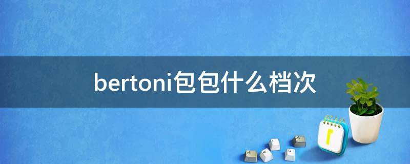 bertoni包包什么档次（bernstein包包）