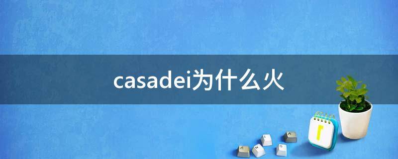 casadei为什么火 casadecarcia