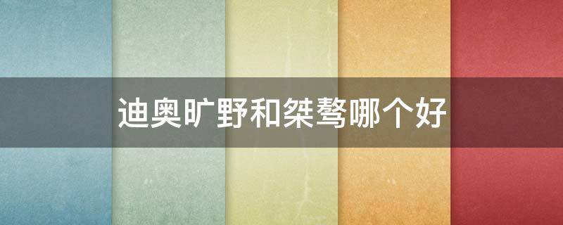 迪奥旷野和桀骜哪个好 旷野 迪奥