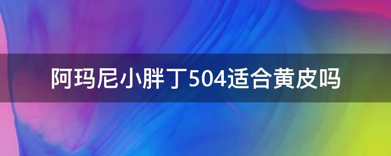 阿玛尼小胖丁504适合黄皮吗（阿玛尼小胖丁504和506区别）