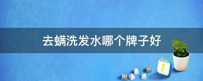 去螨洗发水哪个牌子好 去螨洗发水哪个效果好