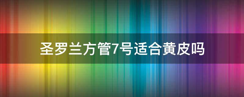 圣罗兰方管7号适合黄皮吗 圣罗兰方管73适不适合黄皮