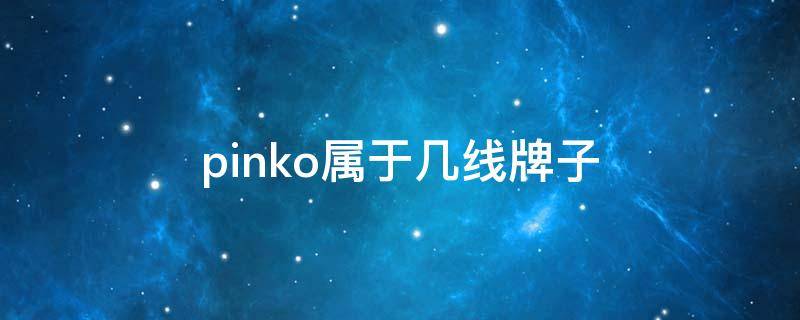 pinko属于几线牌子（pinko是奢侈品牌吗）